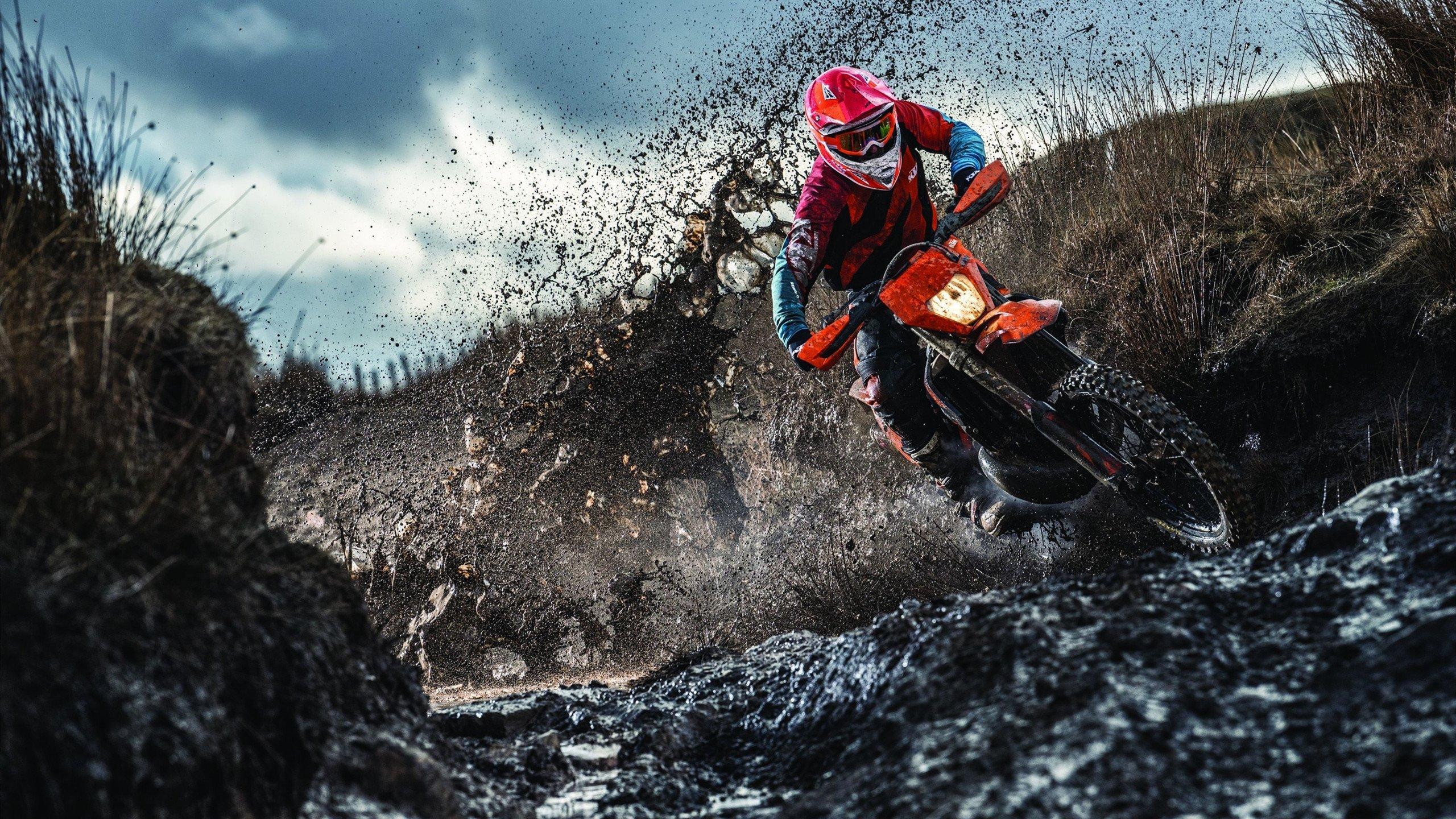 全国游泳锦标赛圆满落幕 新星闪耀老将稳健